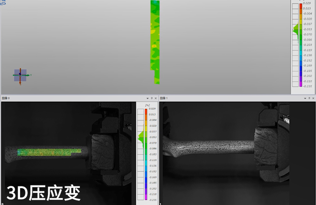 骨骼材料力学测试-3D应变场.png 骨骼材料力学测试-3D应变场.png