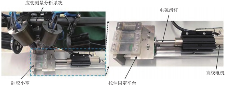 细胞单轴拉伸装置-3D-DIC应变测量技术与电动滑杆.jpg 细胞单轴拉伸装置-3D-DIC应变测量技术与电动滑杆.jpg