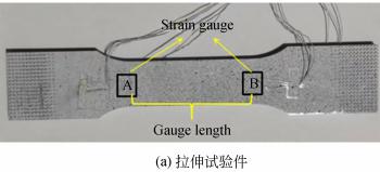 3D-DIC技术用于标准件拉伸应变测量.jpg 3D-DIC技术用于标准件拉伸应变测量.jpg
