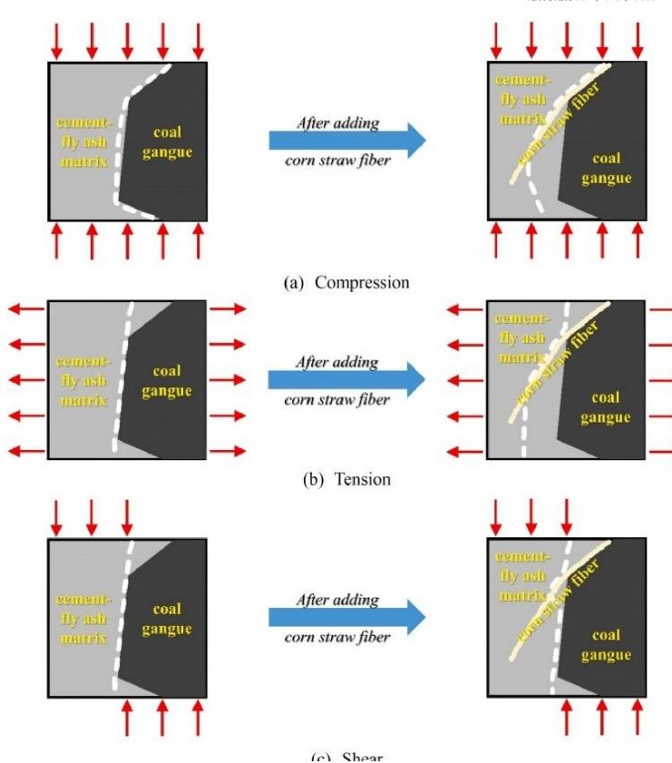 3D-DIC应变测量技术用于植物纤维增强材料力学性能测试.jpg 3D-DIC应变测量技术用于植物纤维增强材料力学性能测试.jpg